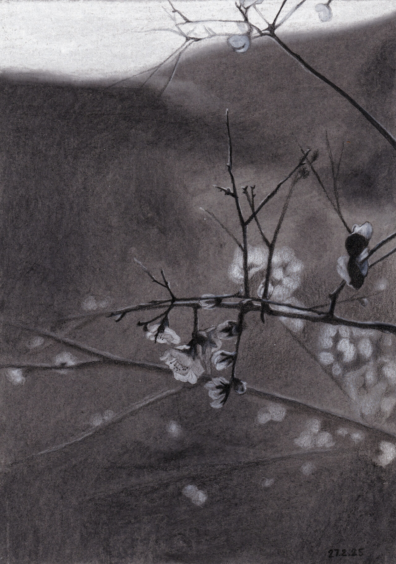 A Charcoal painting of a blooming almond tree