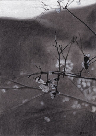 A Charcoal painting of a blooming almond tree