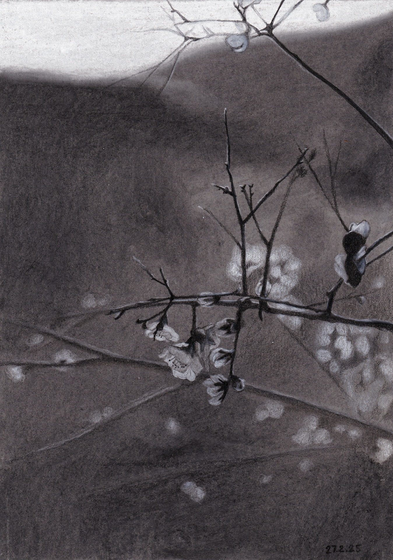 A Charcoal painting of a blooming almond tree